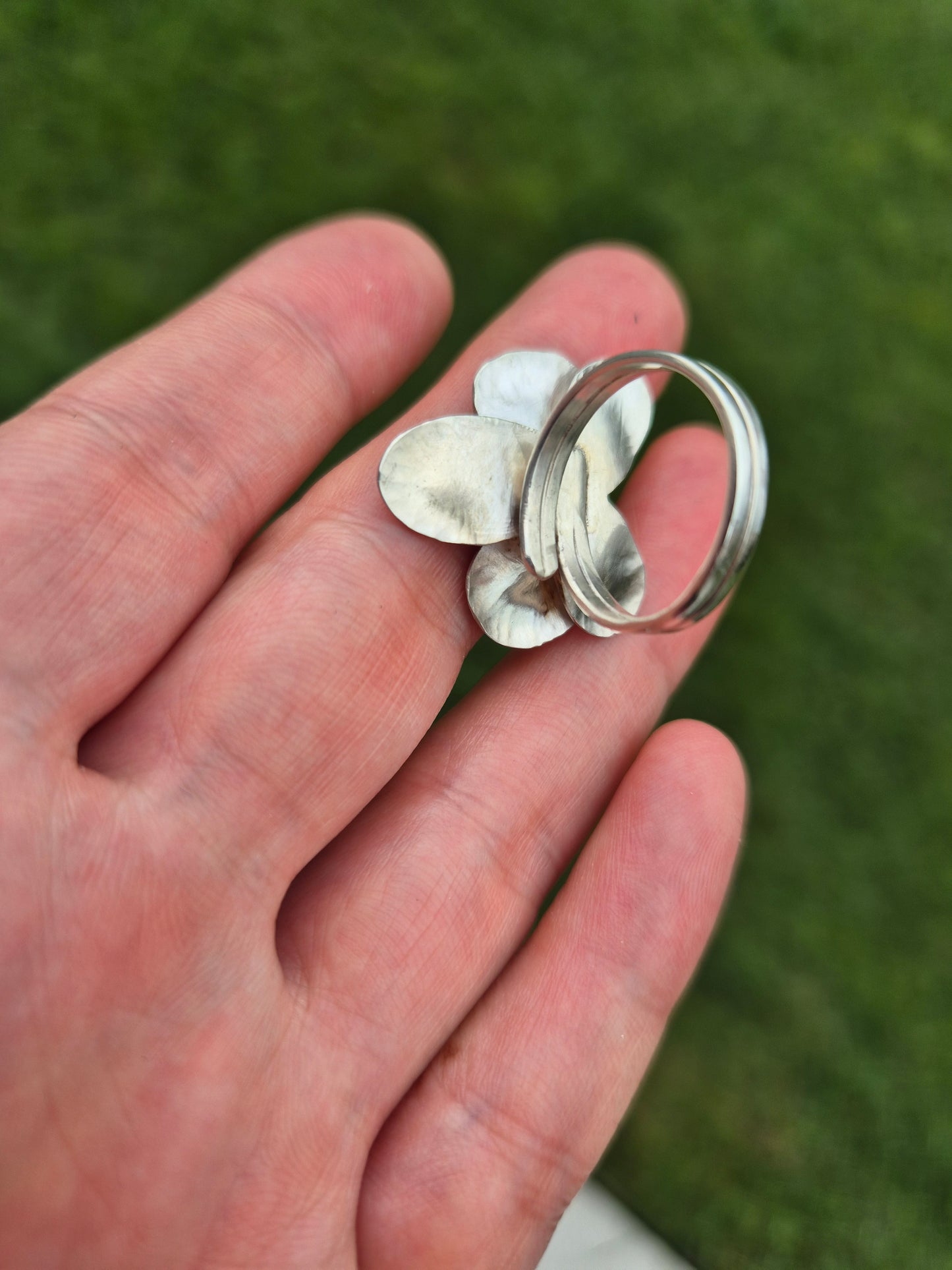 Orquídea anillo