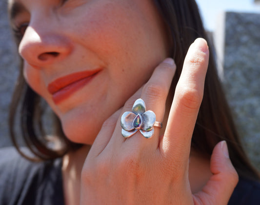 Orquídea anillo